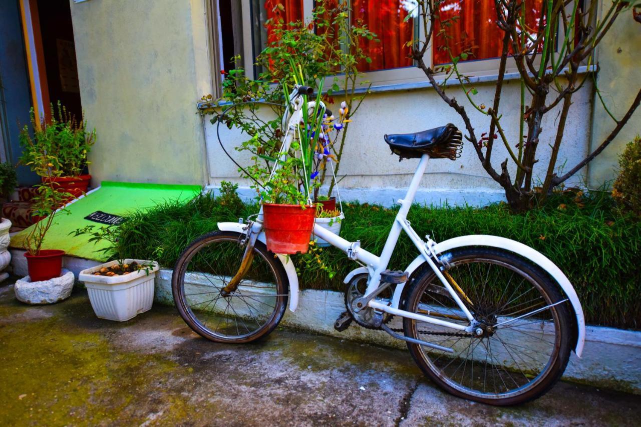 Lovely Apartment W/ Ac + Bath. + Kitchen + Parking And Garden Szkodra Zewnętrze zdjęcie